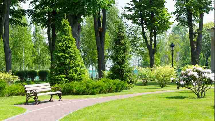 Fort Mill Purchases 50 Acres for Parks and Recreation Development