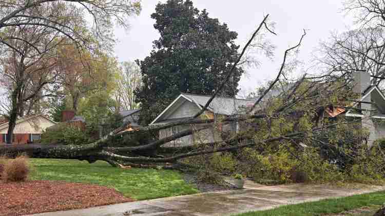 Fort Mill Waxhaw Storm Tree Damage Insurance Liability Guide