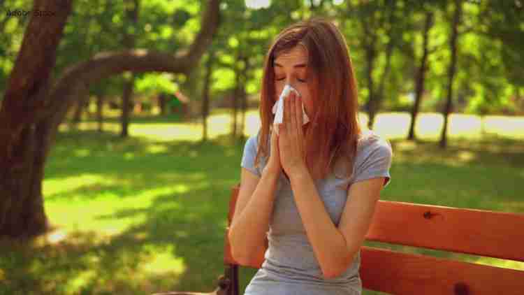 Fort Mill Waxhaw Allergies: Why South Charlotte Adults Develop New Seasonal Reactions