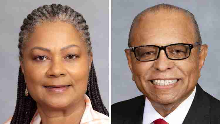Mecklenburg County Reps Leave Democratic Party After Fort Mill Ballantyne Primary Losses