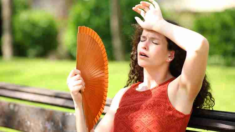 Mecklenburg County Cooling Shelters and Free Transit Available for South Charlotte Residents During Extreme Heat