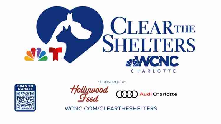 Clear the Shelters 2025: How Fort Mill, Waxhaw, and Indian Land Residents Can Participate in the August 22 Charlotte Adoption Event
