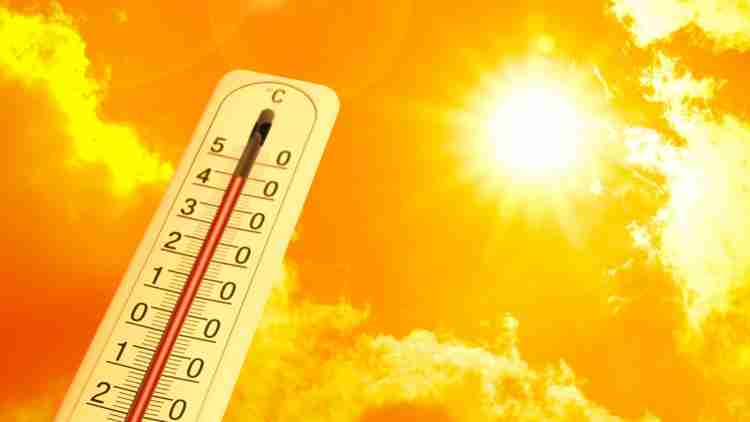 Extreme Heat Safety Guide for South Charlotte, Fort Mill, Waxhaw, and Indian Land Residents